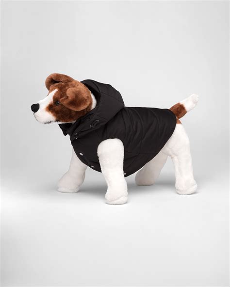 prada dog sweater